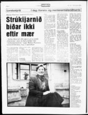 Síða 6