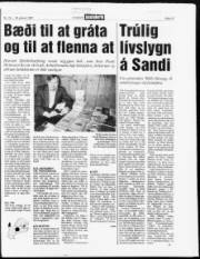 Síða 13