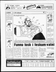 Síða 20