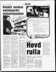 Síða 5