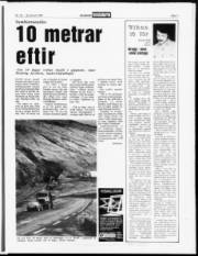 Síða 7