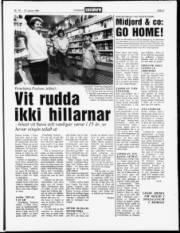 Síða 3