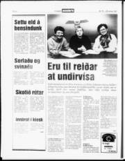 Síða 4
