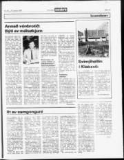 Síða 13