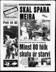 Síða 1