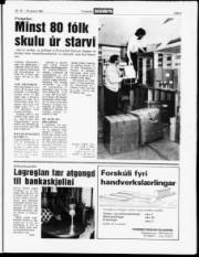 Síða 3