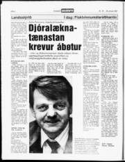 Síða 6