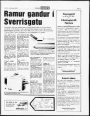 Síða 11