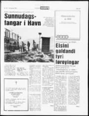 Síða 13