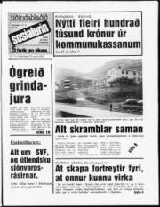Síða 1
