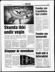 Síða 3
