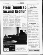 Síða 7