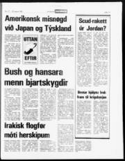 Síða 17