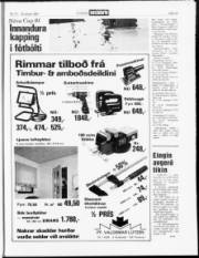 Síða 19
