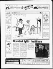 Síða 20