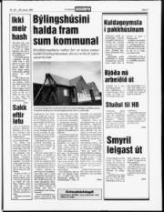 Síða 3