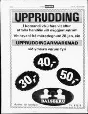 Síða 4