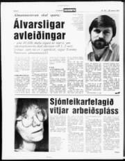 Síða 6