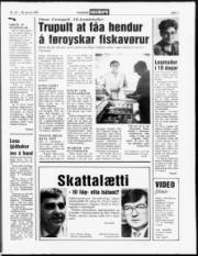 Síða 7