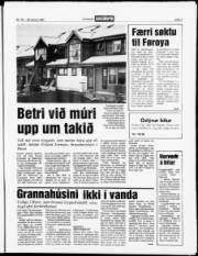 Síða 3