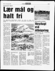 Síða 7