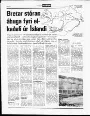 Síða 10