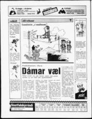 Síða 20