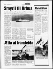 Síða 3