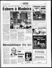 Síða 5