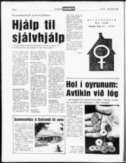 Síða 6