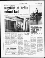 Síða 13