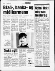 Síða 3