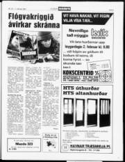Síða 5