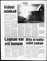 Síða 6