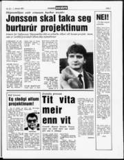 Síða 7