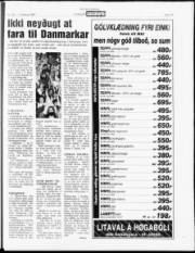 Síða 15