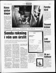 Síða 3