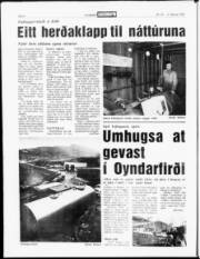 Síða 4