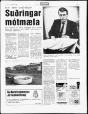 Síða 5