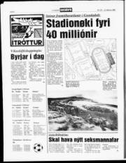Síða 8