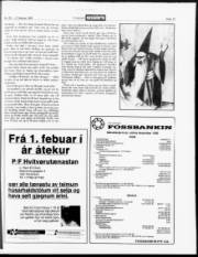 Síða 13