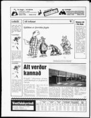 Síða 20