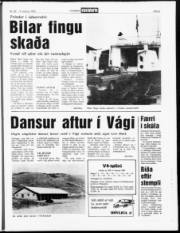 Síða 5