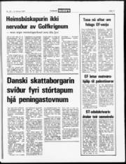 Síða 11