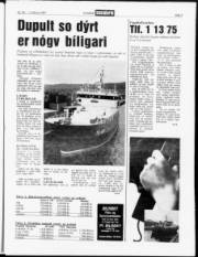 Síða 3