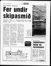 Síða 5