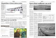 Síða 3