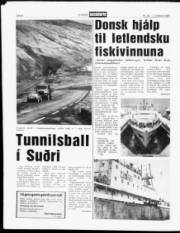 Síða 8