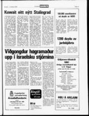 Síða 13