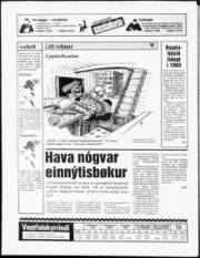 Síða 16